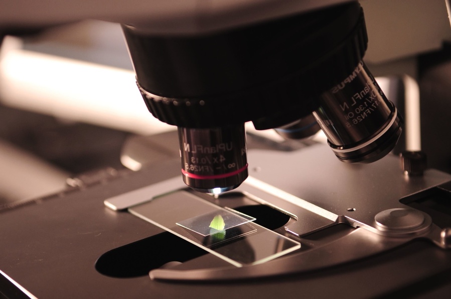 Free picture: microbiology, microscope, COVID-19 research, science ...