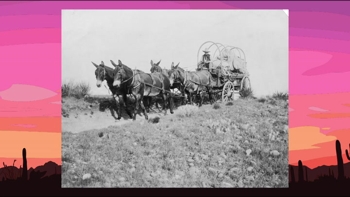 Food Truck Safety: Standards and Guidelines Needed to Pass Inspection ...