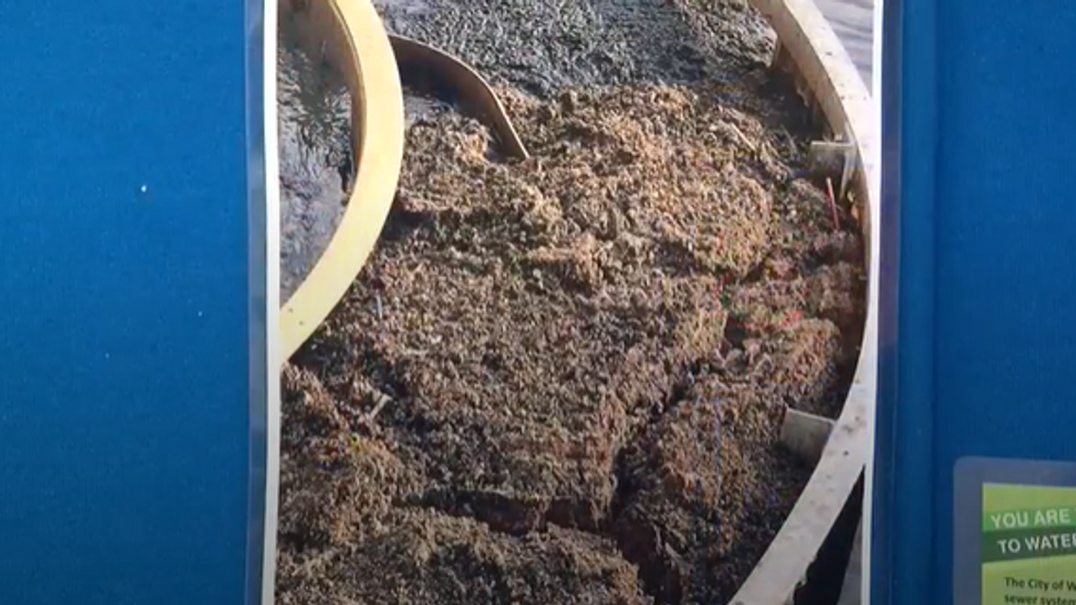 Avoid the FOG: It's time to properly dispose of grease