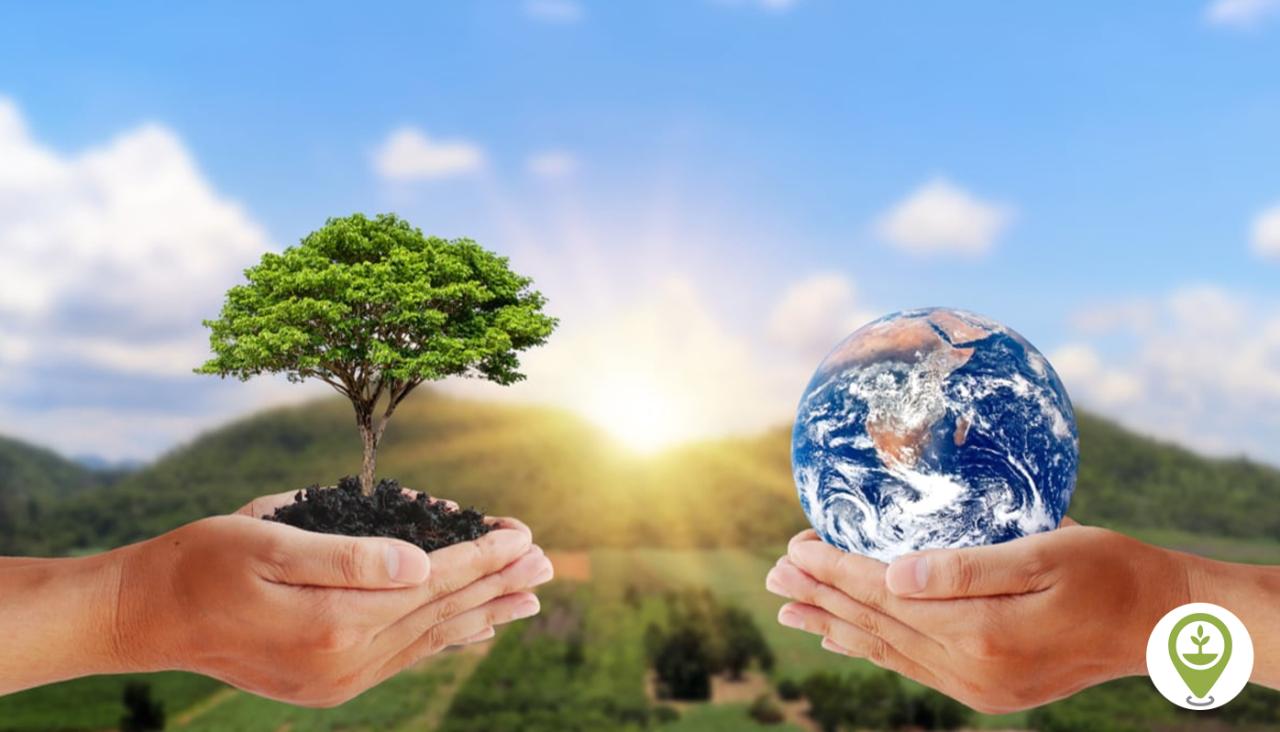 Explore The Ultimate Guide To Online Safety: Protecting Yourself In The ...