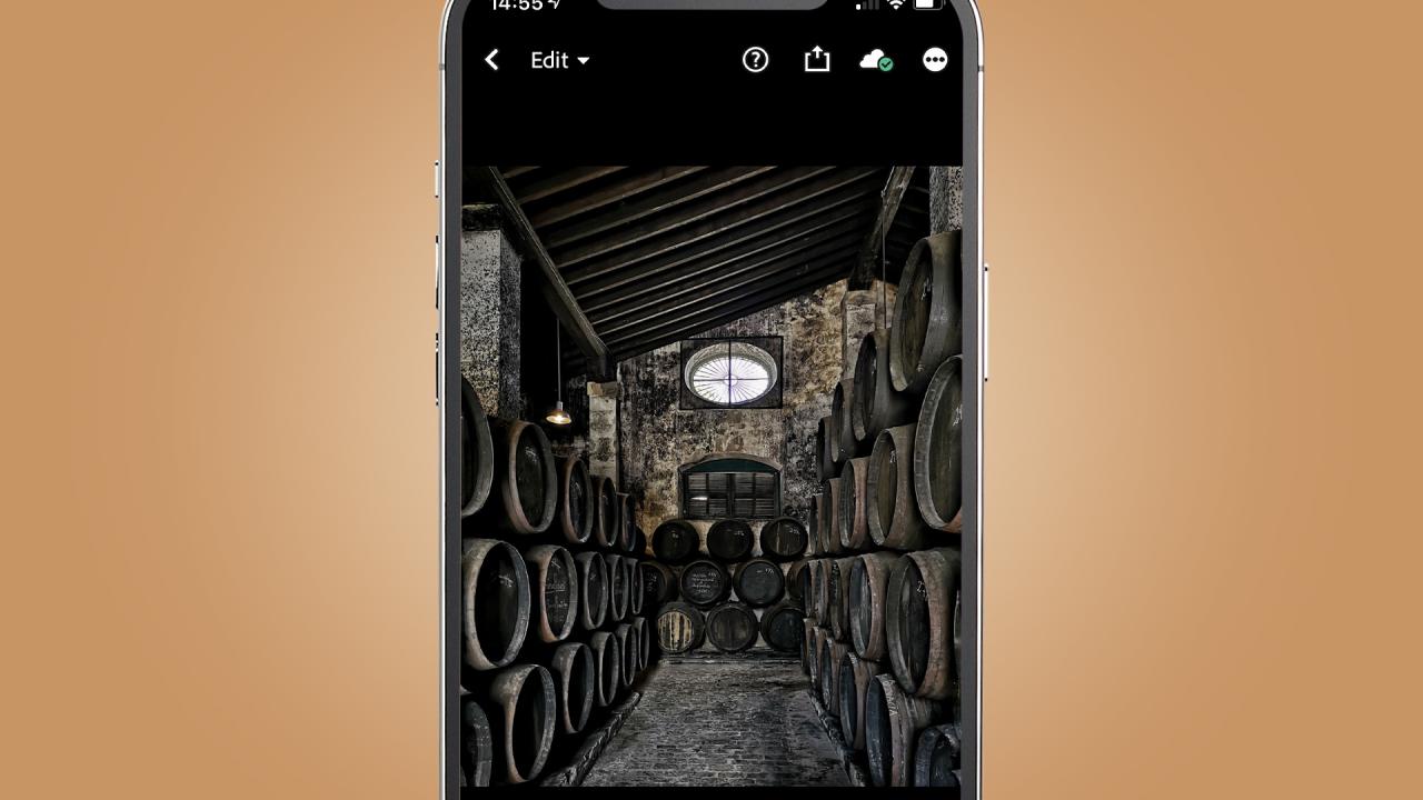 How to take professional food photos with your iPhone or Android phone ...